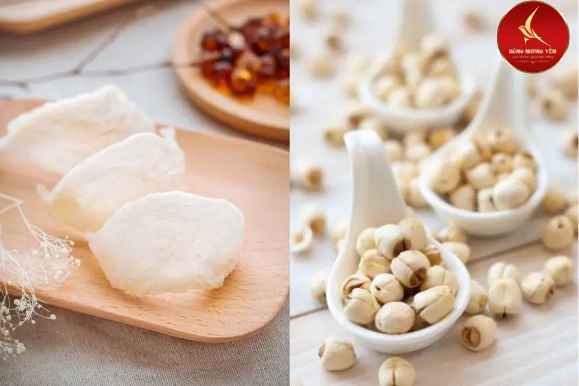 Cách chưng yến tinh chế