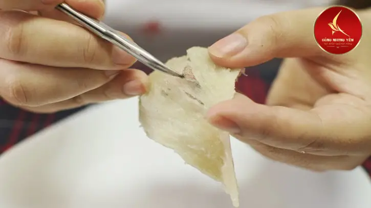 Cách chưng yến tinh chế