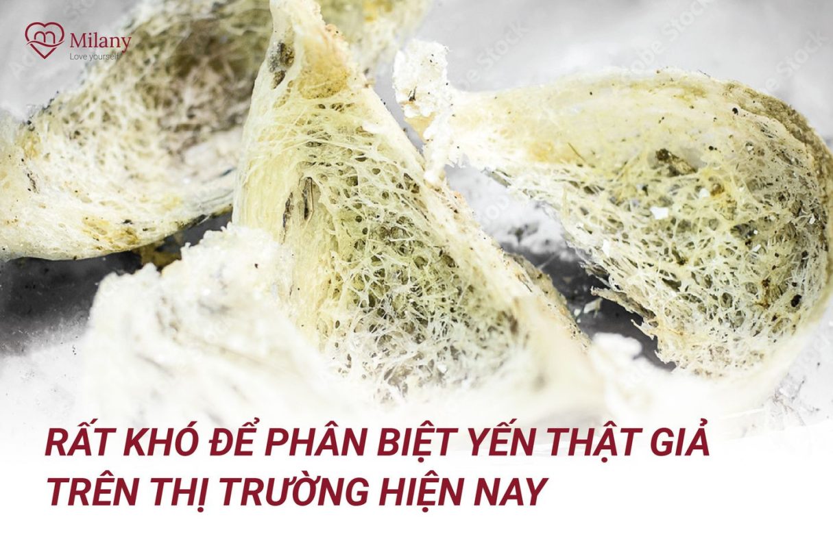 3 canh bao yen sao gia va cach phan biet 6739732093719.jpg